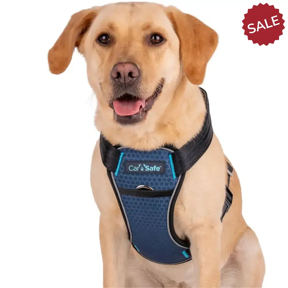 Carsafe Crash Tested Dog Harness Small Black Dog Harness