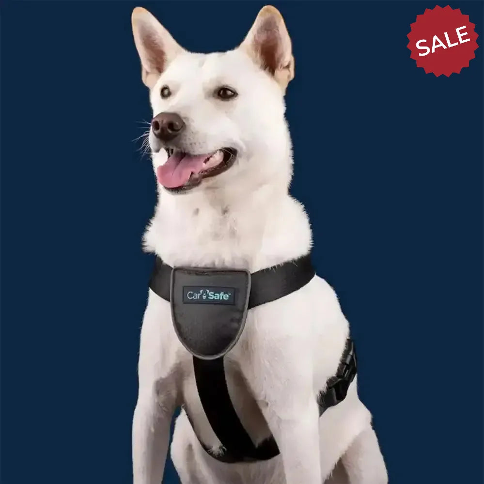 Carsafe Dog Travel Harness Small Black Dog Harness