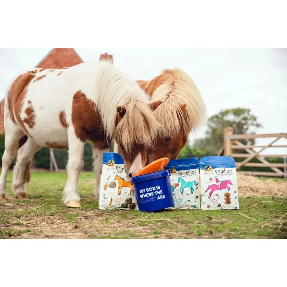 Blue plastic container with orange lid of cavalor fruities horse treats healthy horse snacks my box is where the seals are