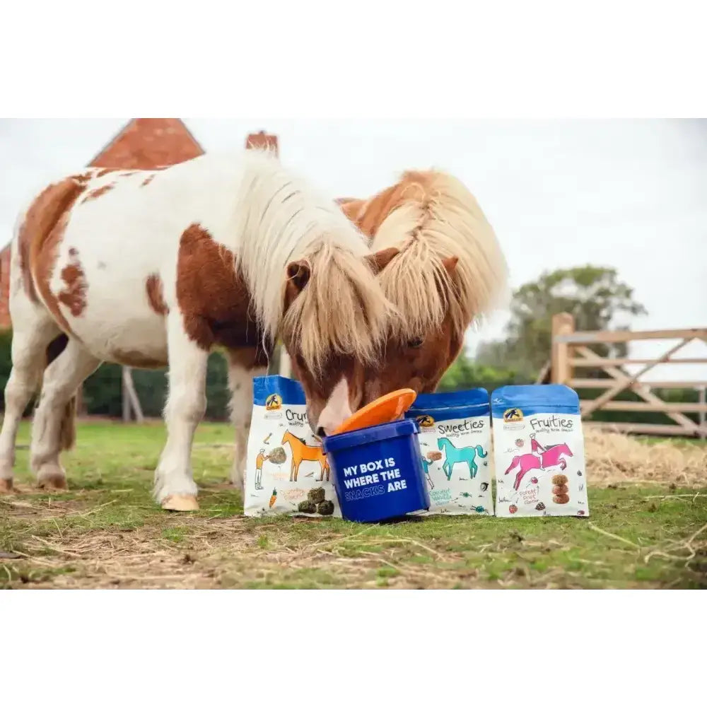Blue bucket with orange lid labeled my box is where the sweets are for cavalor horse treats strucies 1.5kg pack