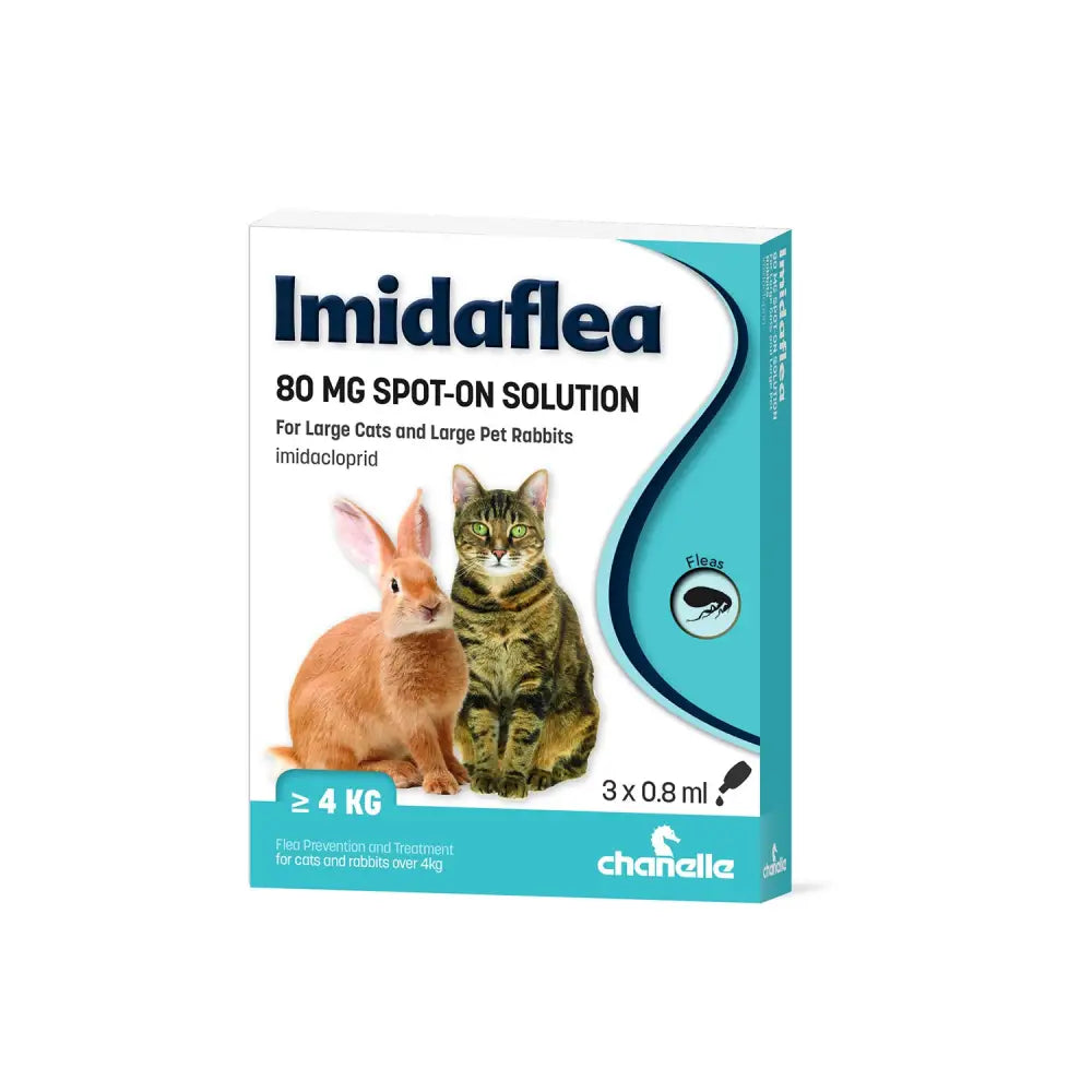 Teal and white box of chanelle imidaflea 80gm spot-on four weeks flea treatment for cats and rabbits over 4kg