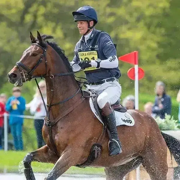 Brown horse with black mane and tail ridden by an equestrian wearing a dark blue charles owen 4star riding hat