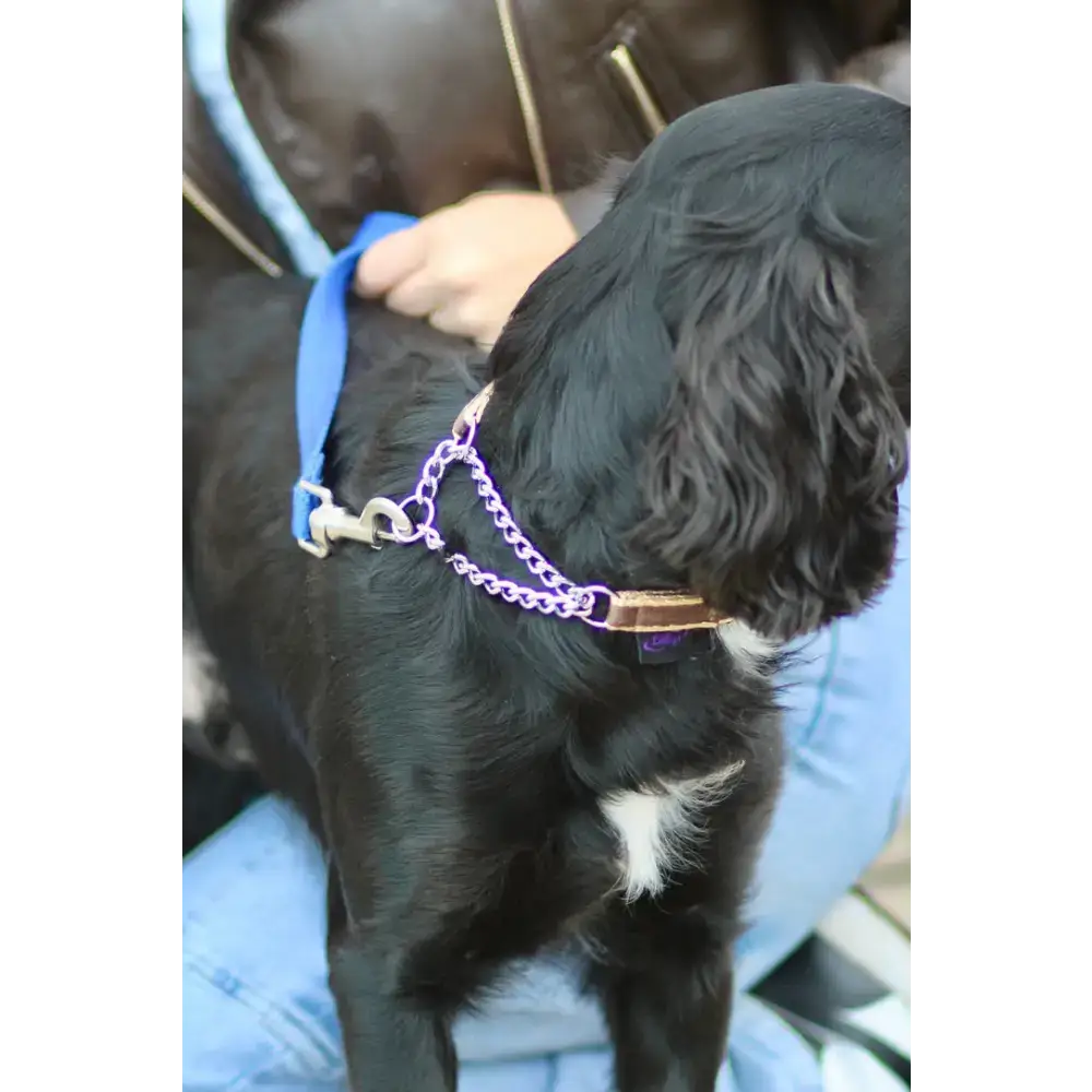 Check Chain Collar Brown Small