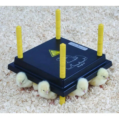 Chicktec Comfort 25 Plus With Regulator Chicken Nesting Boxes
