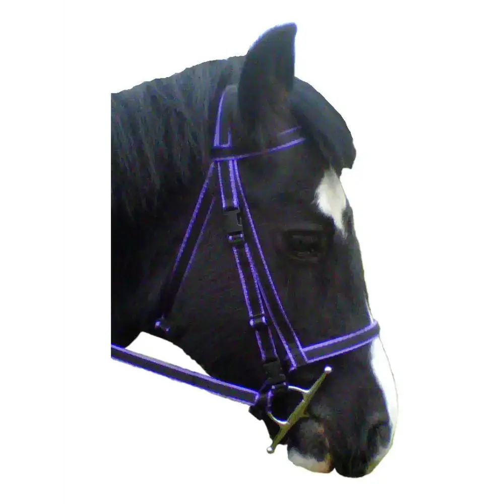 Click Bridle including Reins Purple Mini