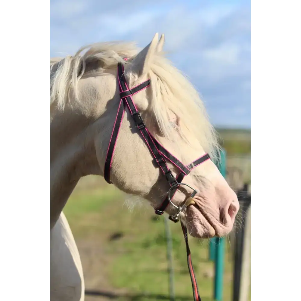 Click Bridle including Reins Purple Mini