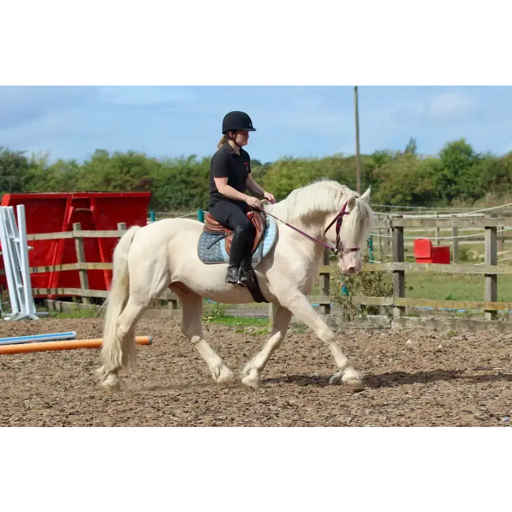 Click Bridle including Reins Purple Mini