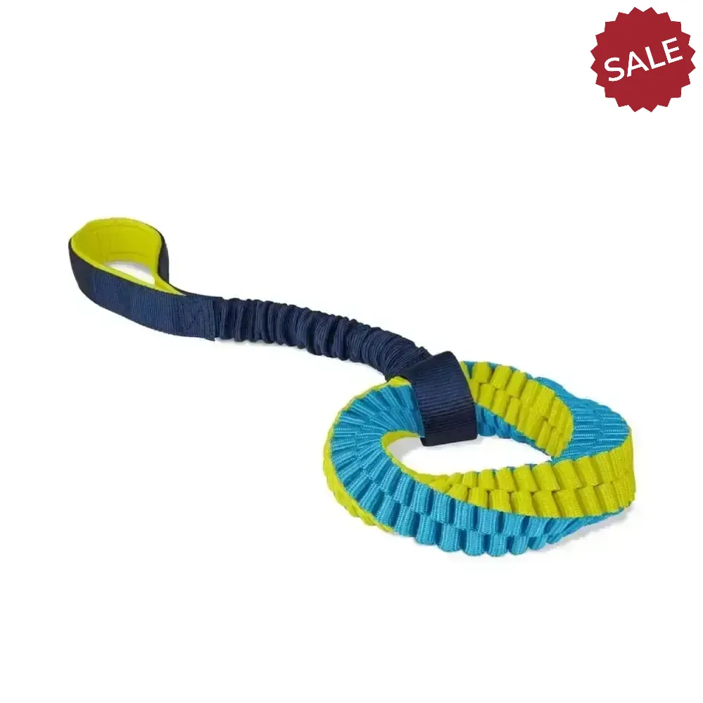 Coachi Helix Navy/Lime/Light Blue Dog Toys