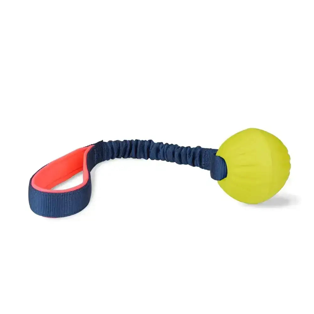 Bright yellow rubber coachi tuggi ball with navy blue and orange elastic handle for tugging play