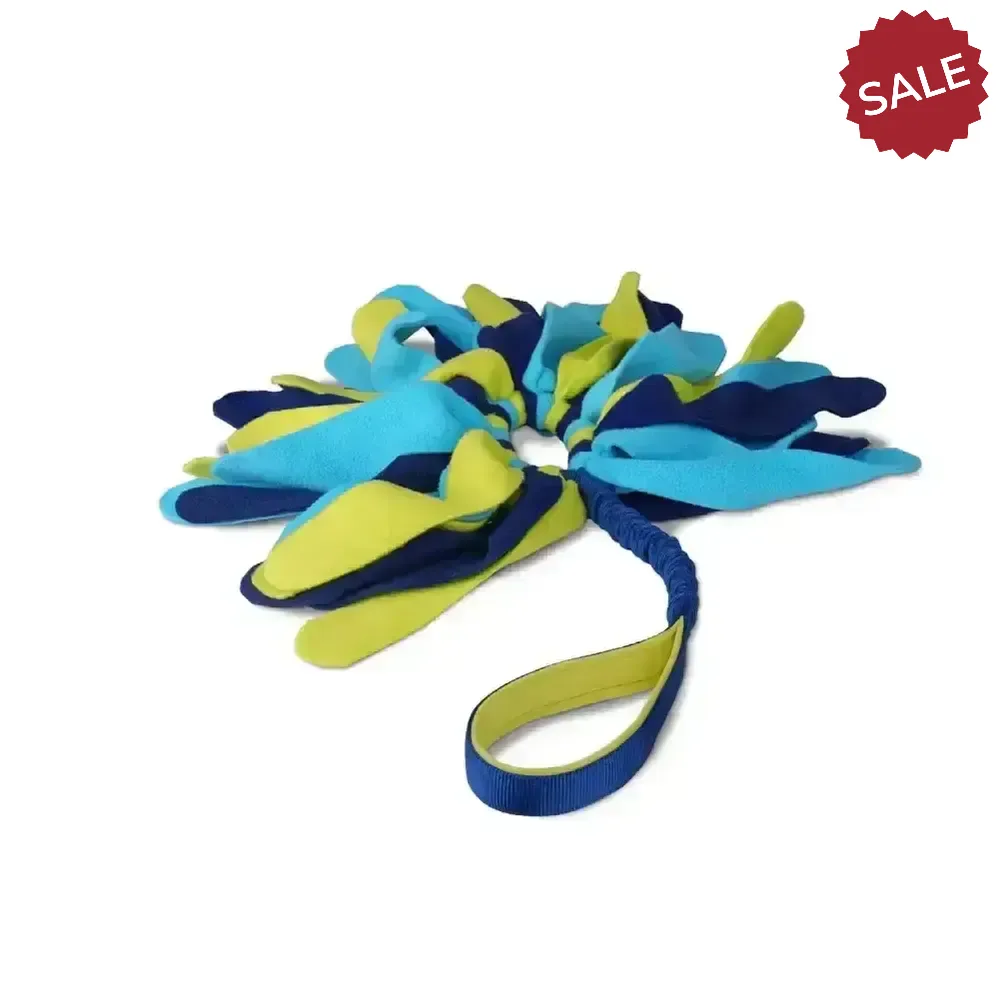 Coachi Tuggi Spider Navy/Lime/Light Blue Dog Toys