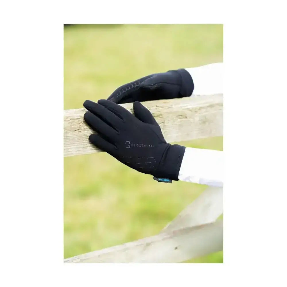 Black touchscreen-compatible coldstream eccles stormshield gloves with textured pattern and silverstream logo on back