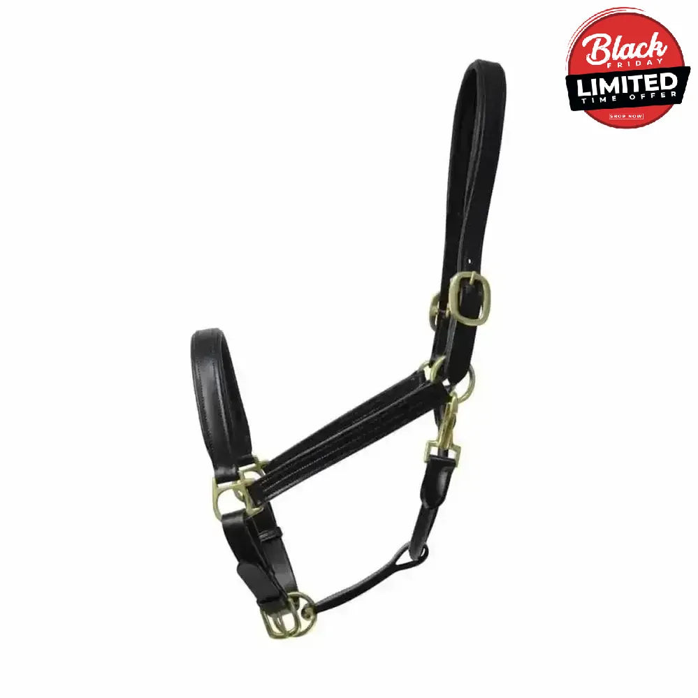 Coldstream Leather Padded Head Collar Black Black Pony Leather Headcollars