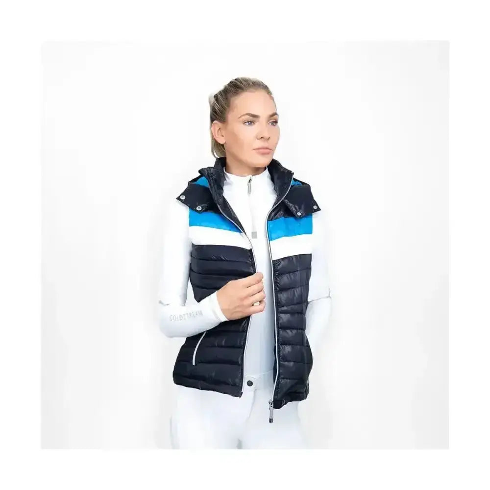 A stylish southdean quilted gilet navy white and blue with bold blue stripe quilted panels and a hood