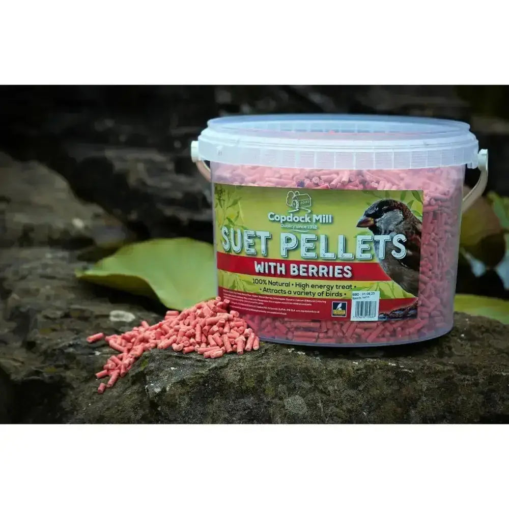 A clear plastic bucket with white lid filled with pink suet pellets berry tub 3kg for bird feeding