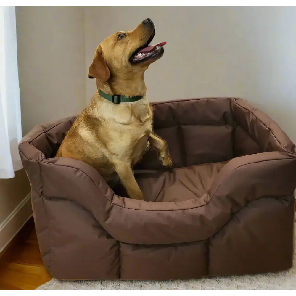Country Dog Heavy Duty Rectangular High Sided Waterproof Dog Beds Medium L57cm X W47cm X H24cm Grey Dog Beds