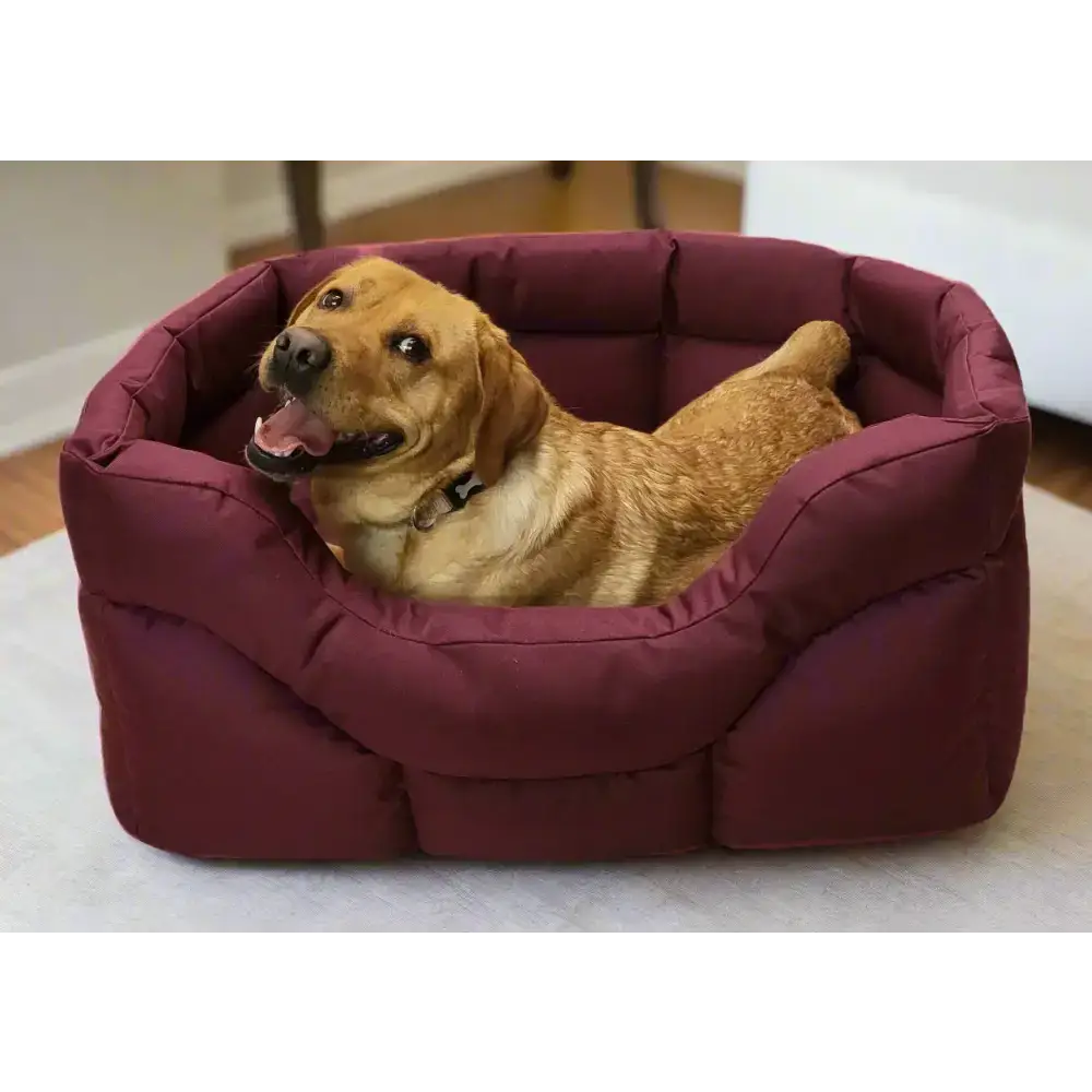 Country Dog Heavy Duty Rectangular High Sided Waterproof Dog Beds Medium L57cm X W47cm X H24cm Grey Dog Beds
