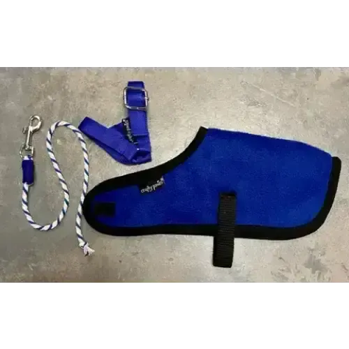 Crafty Ponies Foal Rug Set Blue Toy Pony Accessories