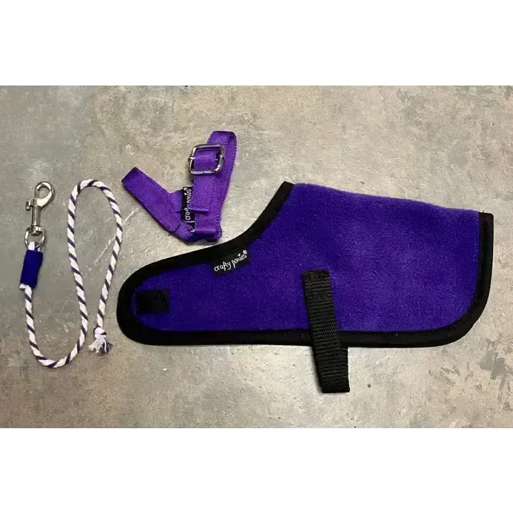 Crafty Ponies Foal Rug Set Purple Toy Pony Accessories