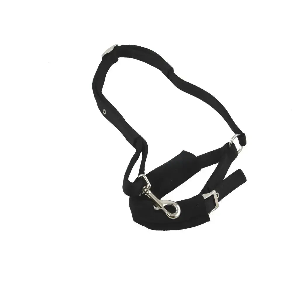Black fabric crupper dog harness with soft webbing and sturdy d-ring attachment for equestrian use on horses