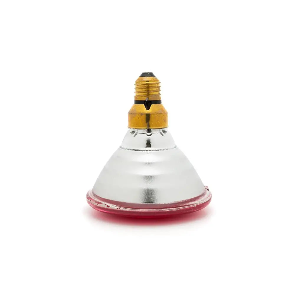 Curalux infrared par 38 bulb with red-tinted infrared light bulb and gold screw base in reflective silver housing