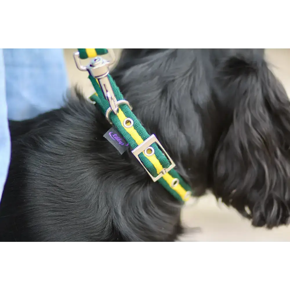 Cushion Web Dog Collar Medium Black