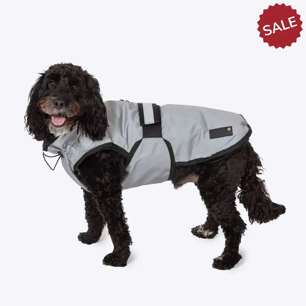 Danish Design 3-In-1 Dog Coat Light Reflective Large LIGHT REFLECTIVE Dog Coat