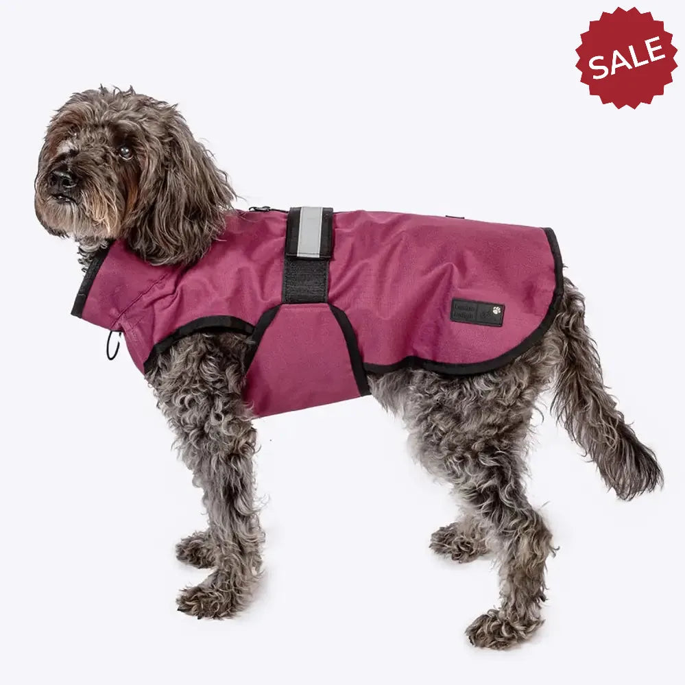 Danish Design 3-In-1 Dog Coat Plum Large PLUm Dog Coat