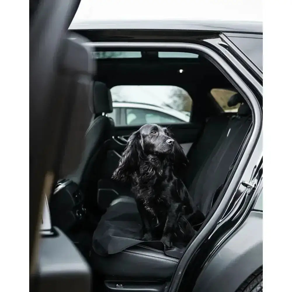 Black dog sitting on a black danish design car seat cover dog bed for comfortable travel and pet protection