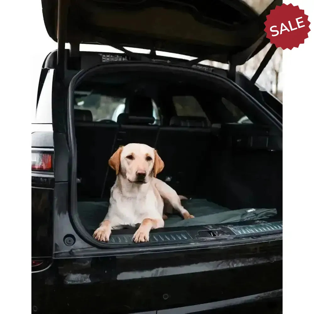 Danish Design County Standard Fill Duvet Dog Bed Large Green Dog Beds