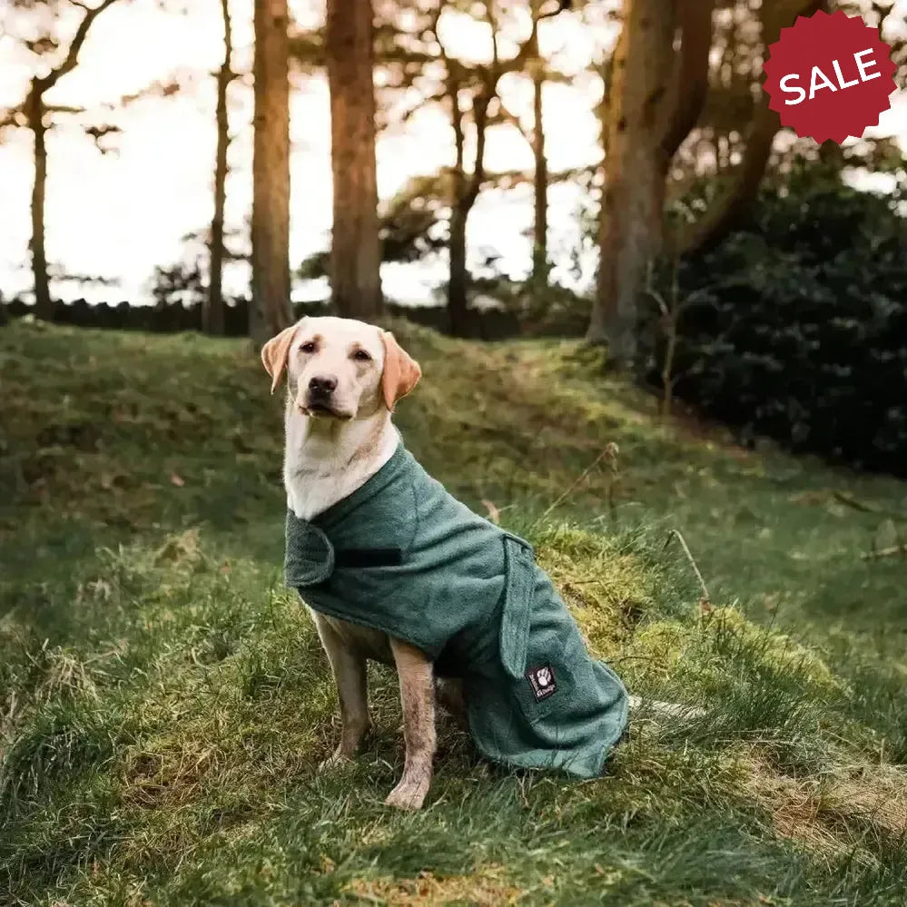 Danish Design Dog Robe Towelling Dog Bed 30 cm (12") Green Dog Beds