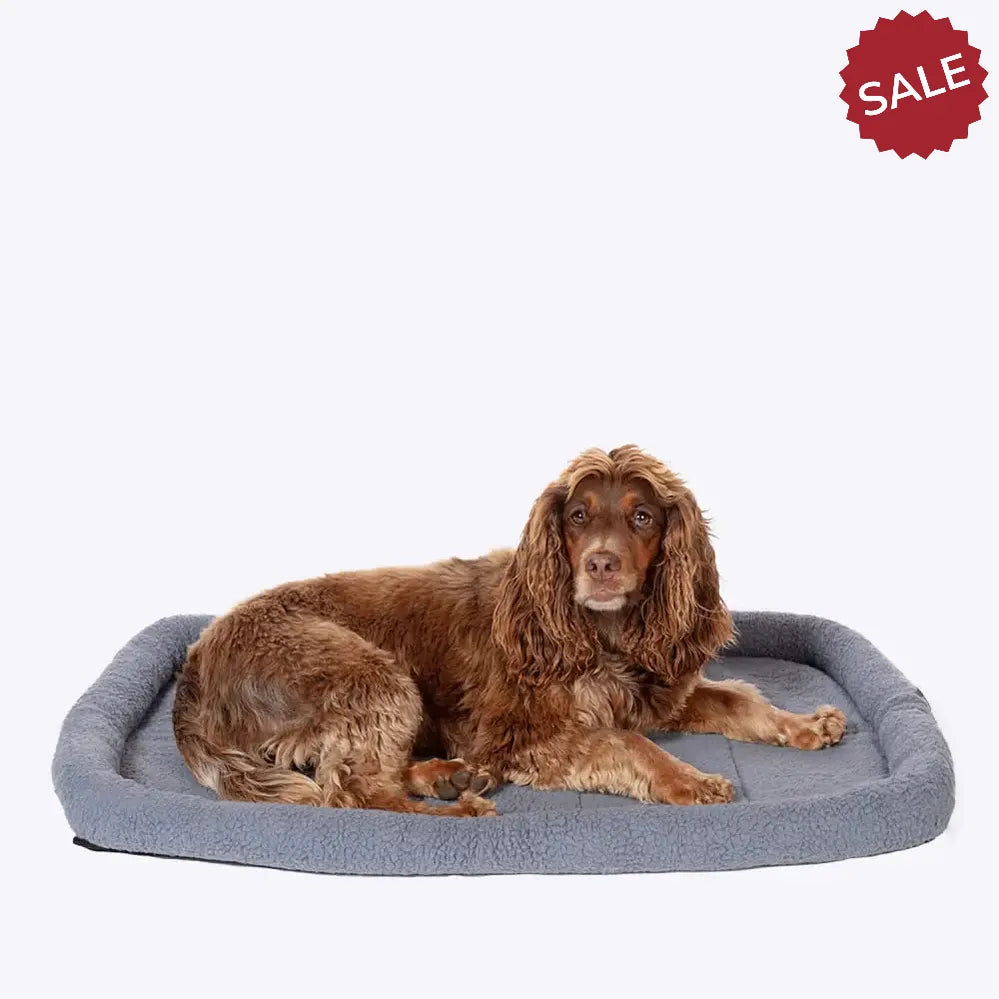 Danish Design Essentails Mattress Charcoal Medium Charcoal Pet Beds & Blankets