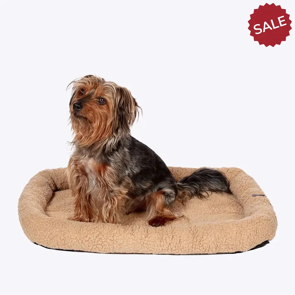 Danish Design Essentials Mattress Beige Large BEIGE Dog Beds