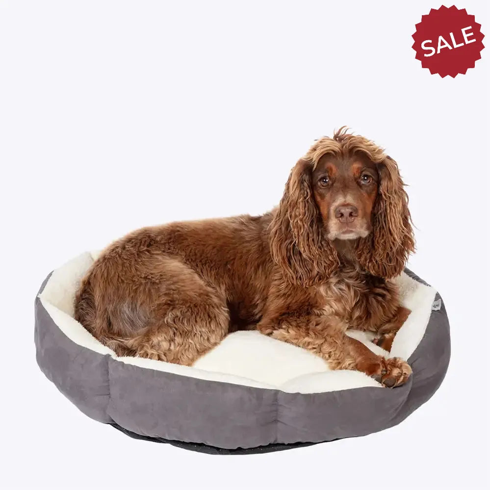 Danish Design Essentials Quilted Bed Charcoal Large CHARCOAL Dog Beds