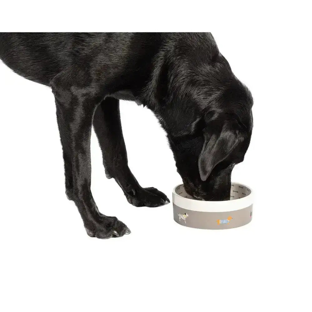 Gray and white danish design fatface marching dogs pet bowl with subtle patterned design for dog food or water