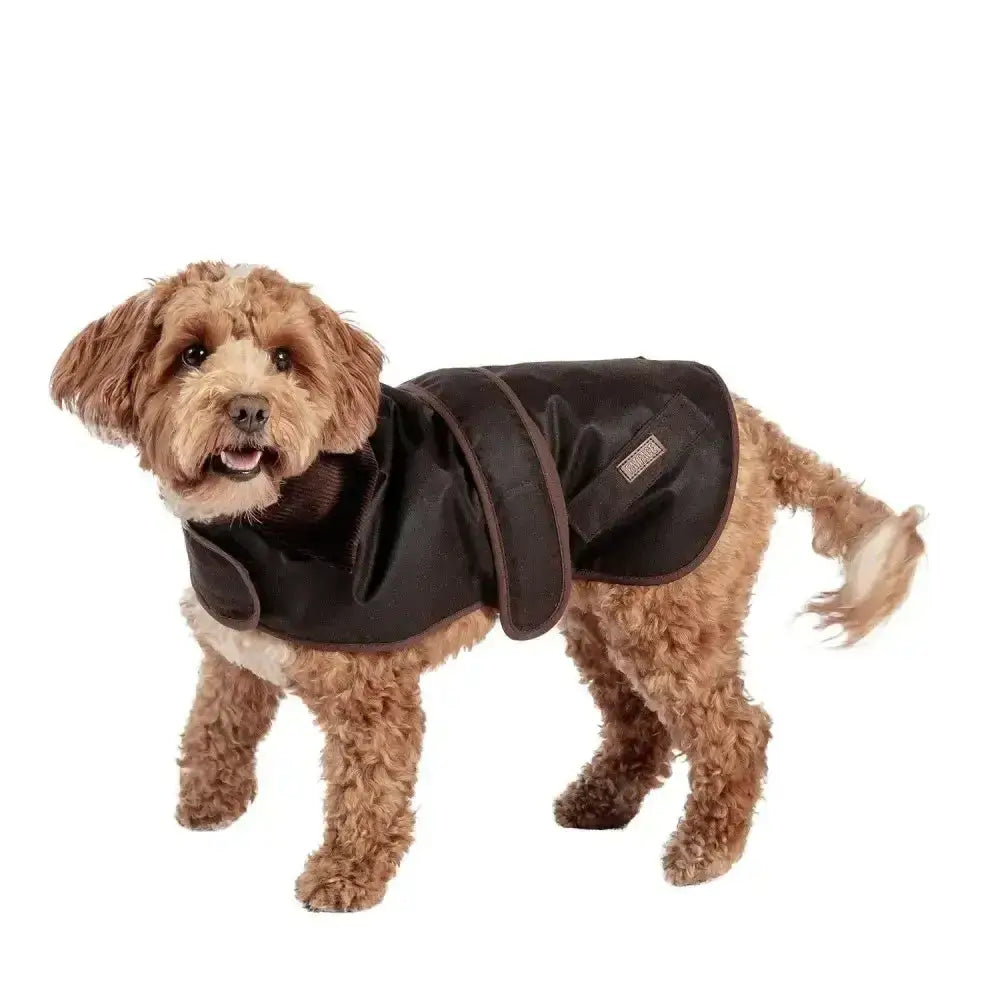 Black waterproof danish design fatface sussex dog coat with adjustable straps and brand tag on the side
