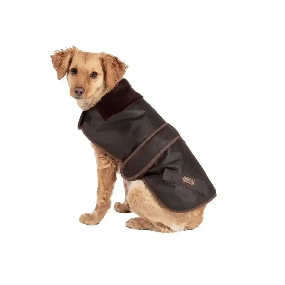 Black waterproof dog coat with soft collar and adjustable straps from danish design fatface sussex dog coat collection