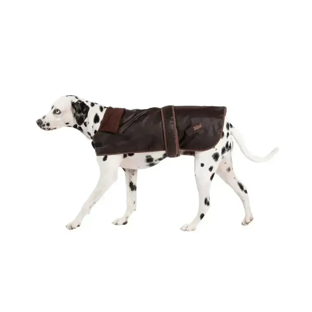 Brown waterproof danish design fatface sussex dog coat with reinforced shoulder straps and a small front pocket