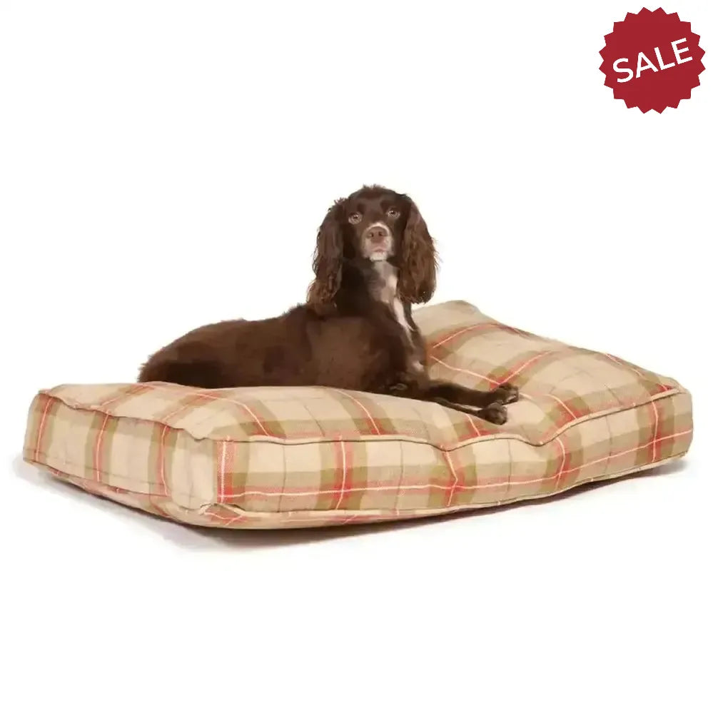 Danish Design Newton Box Bed Dog Bed Medium moss Dog Beds