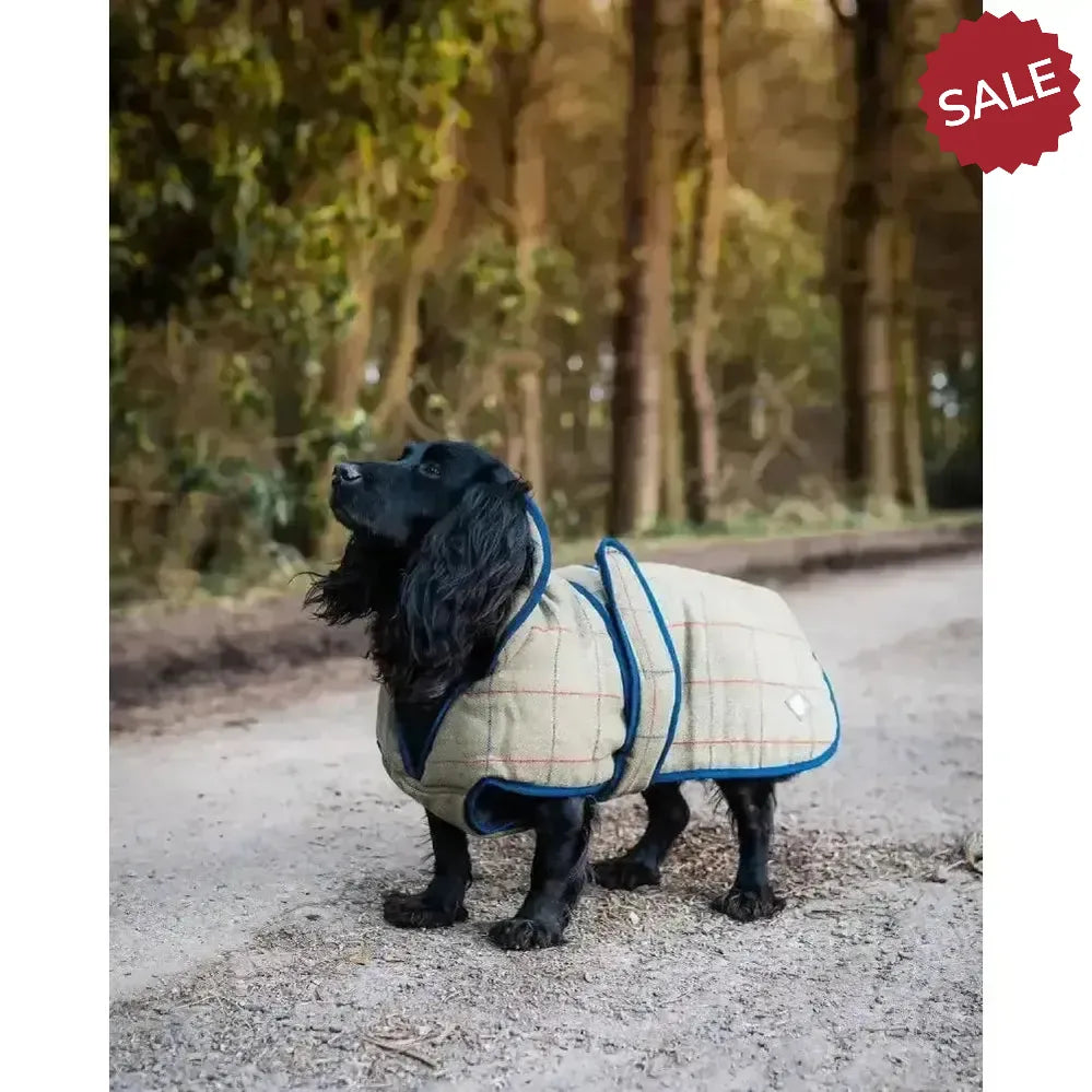 Danish Design Tweed Dog Coat 25 cm (10") Green/Tan Dog Coat