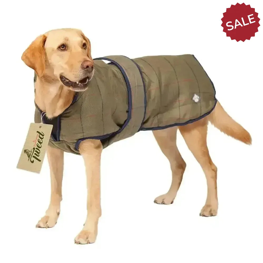Danish Design Tweed Dog Coat 25 cm (10") Green/Tan Dog Coat