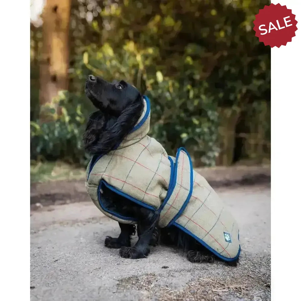 Danish Design Tweed Dog Coat 25 cm (10") Green/Tan Dog Coat