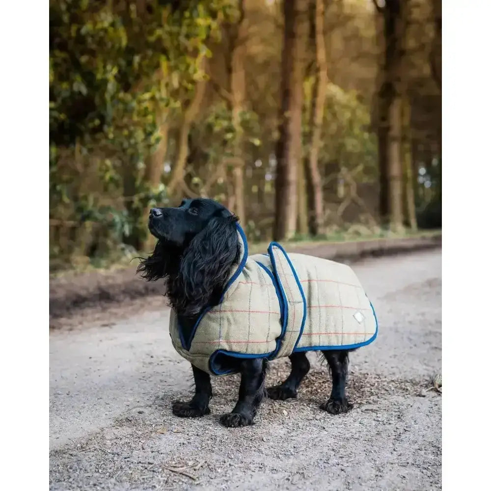 Beige and blue plaid danish design tweed dog coat with red thread accents made from showerproof tweed fabric
