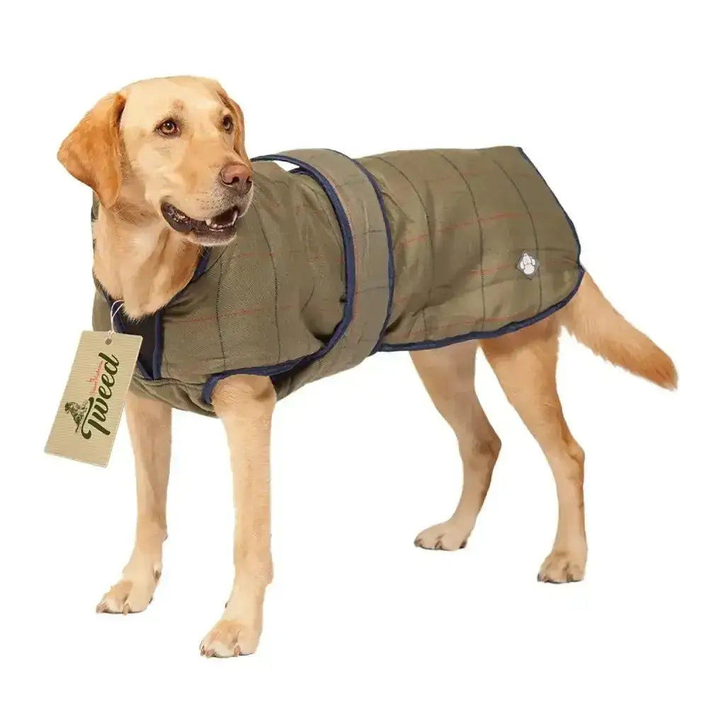Olive green quilted tweed dog coat with navy trim and brand logo made from showerproof tweed fabric by danish design tweed