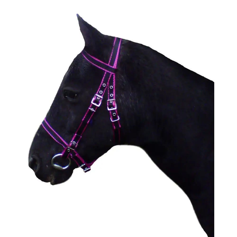 Purple leather dartmoor bridle with silver bit holders and metal buckles for small pony use