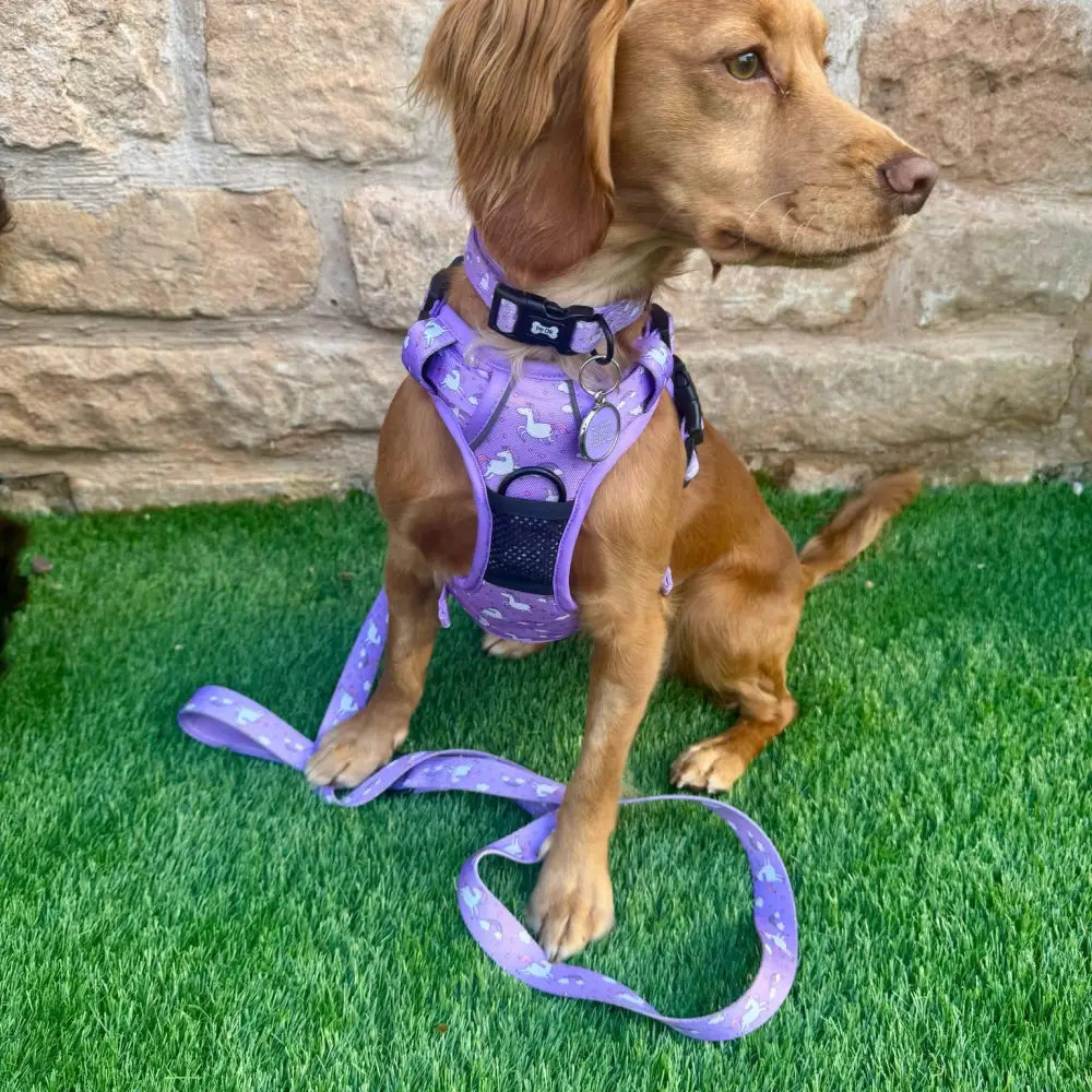 Purple daydreams and unicorns collar harness with white duck pattern mesh and black straps for pup chic style