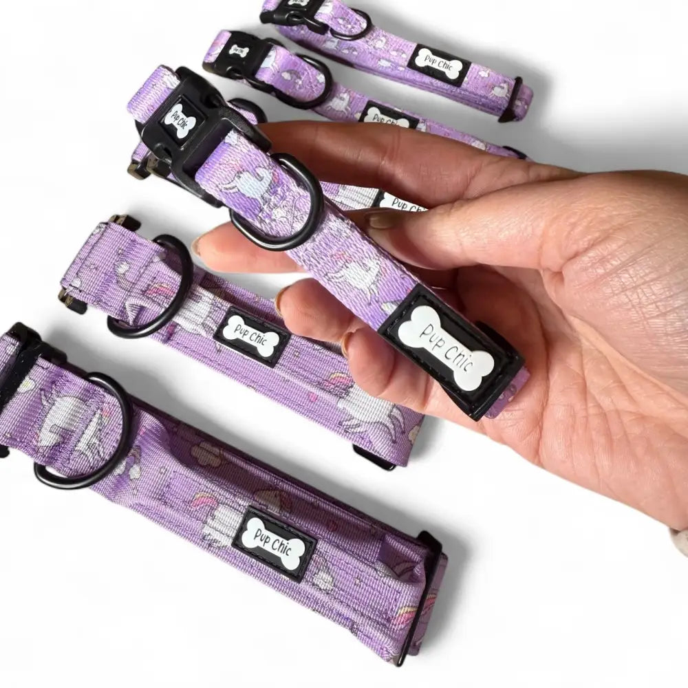 Daydreams and Unicorns Collar XS Pet Products