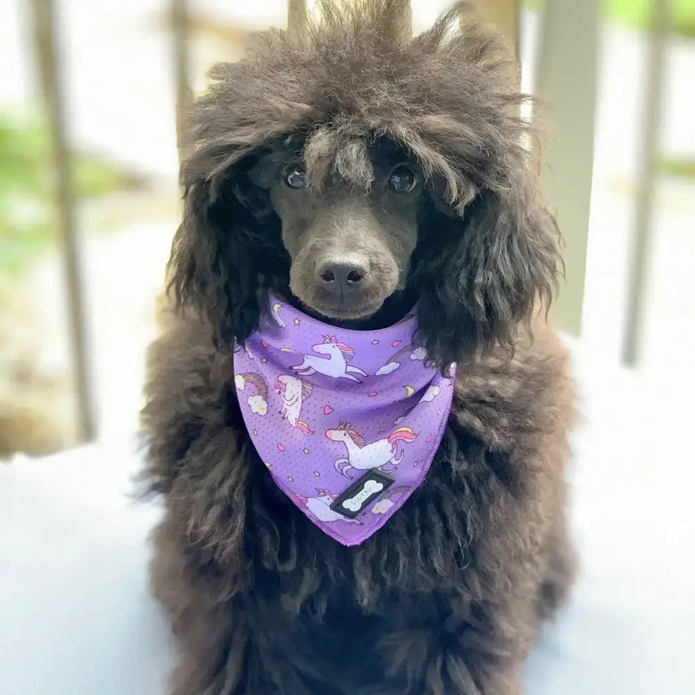 Purple unicorns cooling bandana with fun unicorn pattern designed to keep your dog cool and comfy