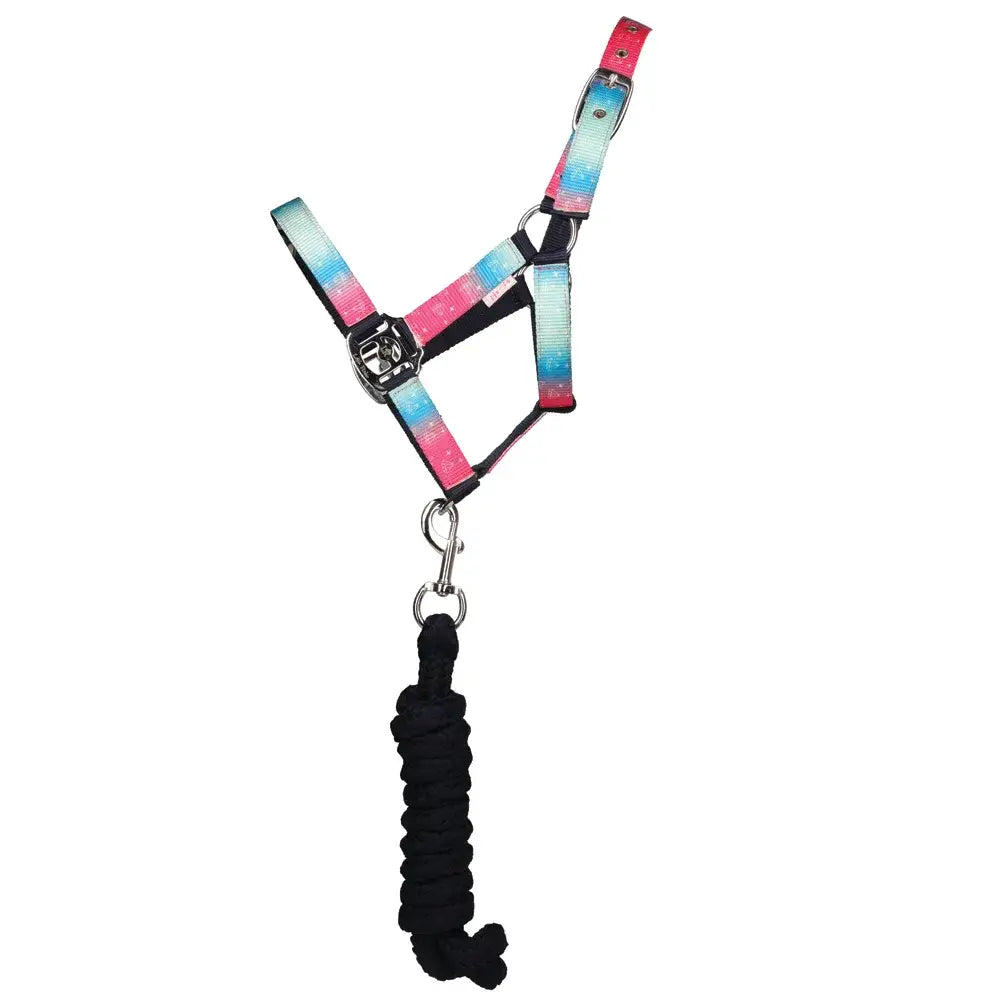 A dazzling diamond head collar and lead rope set by little rider in vibrant pink and blue gradient with black accents and silver buckle