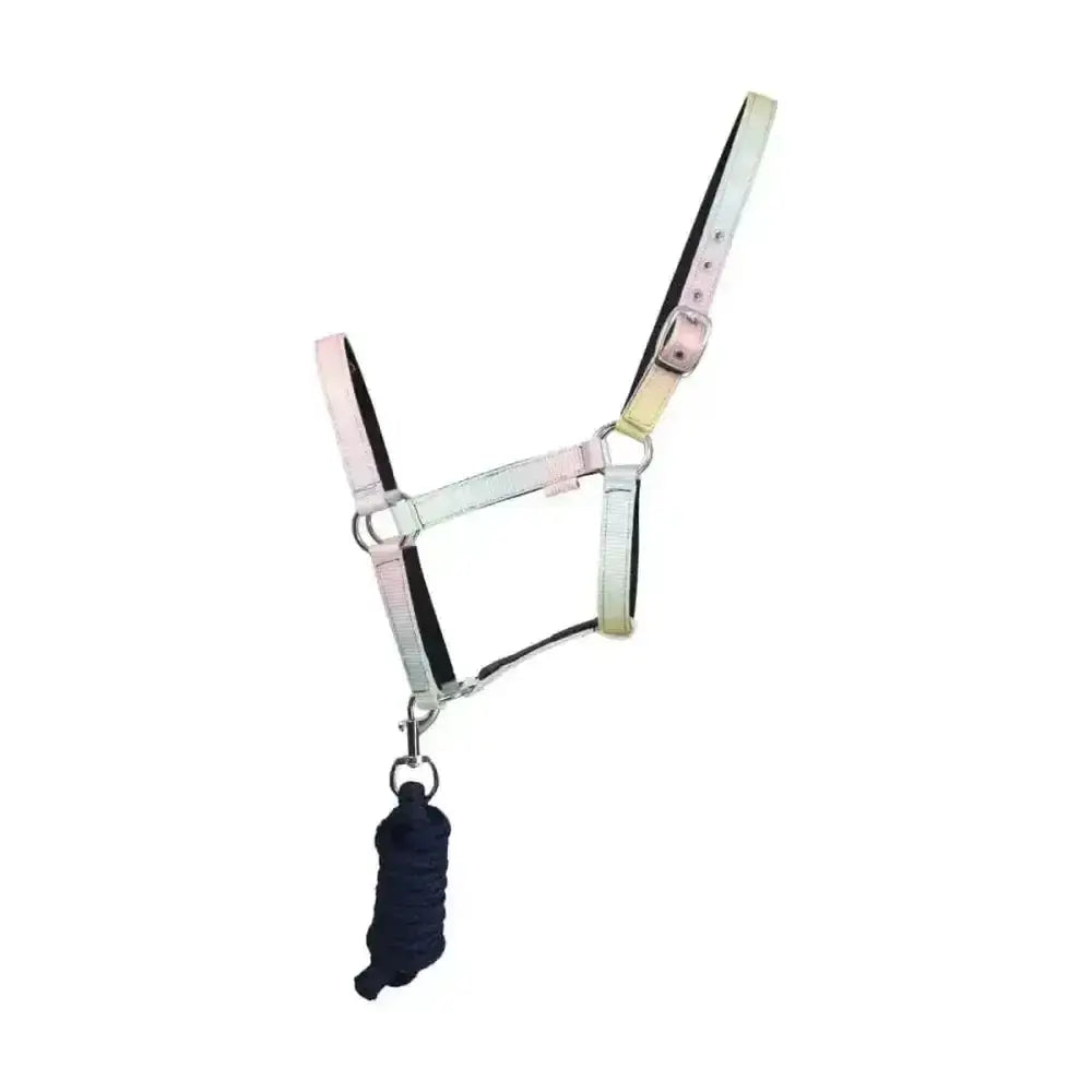 White leather dazzling dream head collar with silver hardware and black braided lead rope set by little rider