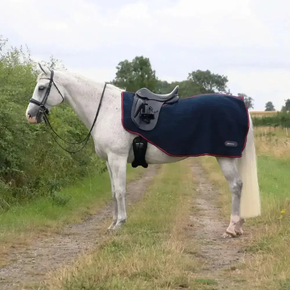 Navy blue defencex cool control exercise sheet with red trim and gray saddle pad featuring black straps for secure fit